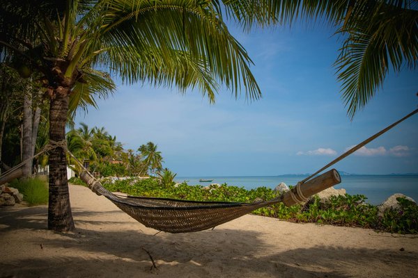 Les Refuges Incontournables des Stars : Vivez l'Expérience VIP